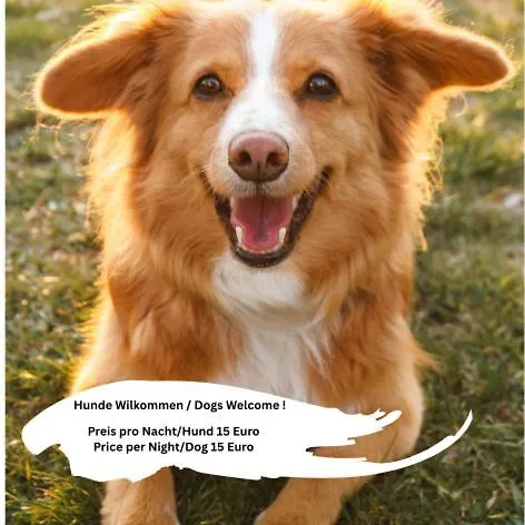 Appartement Niederthalheim Daire *